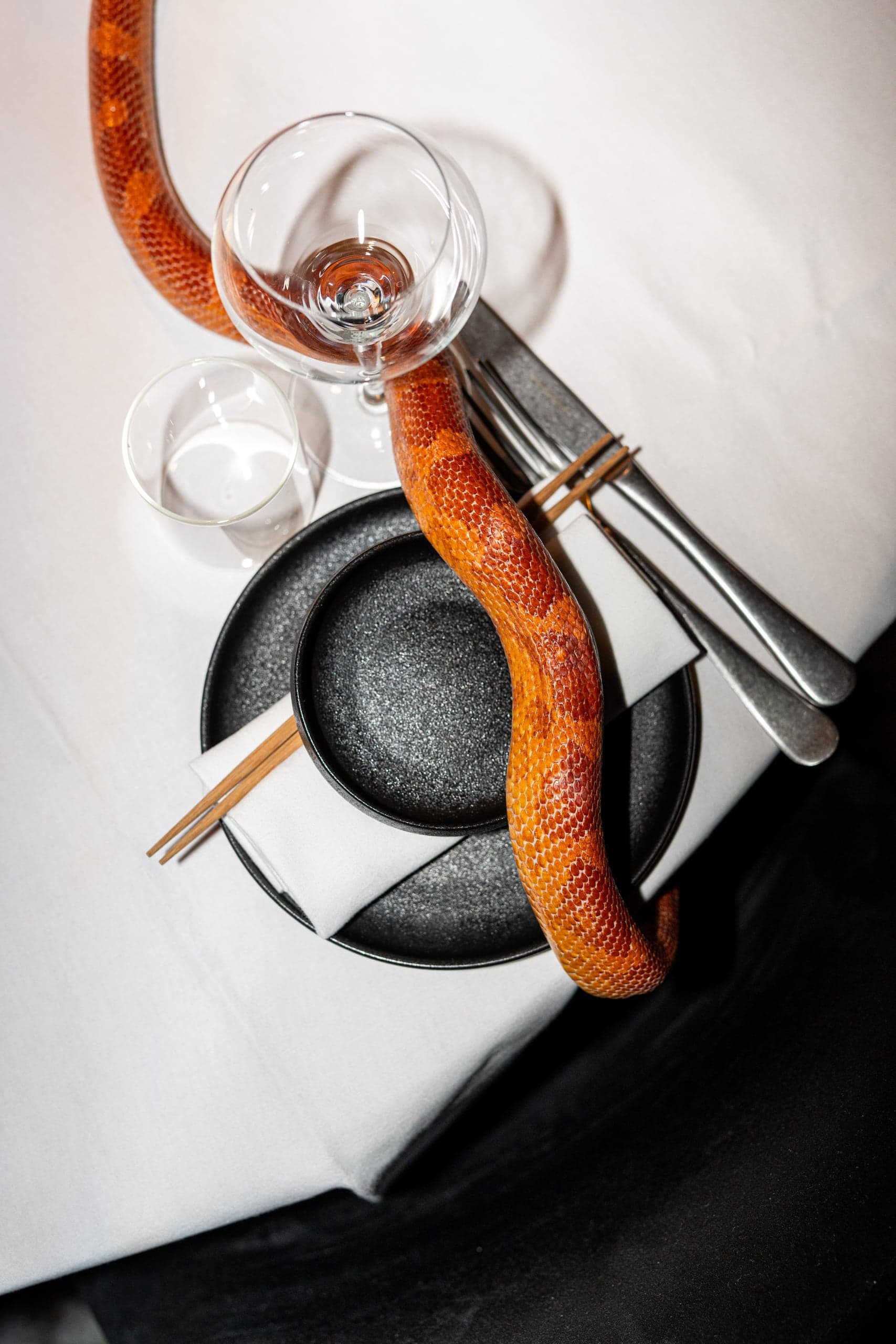 Ox — Restaurant fotografie, beeld 1