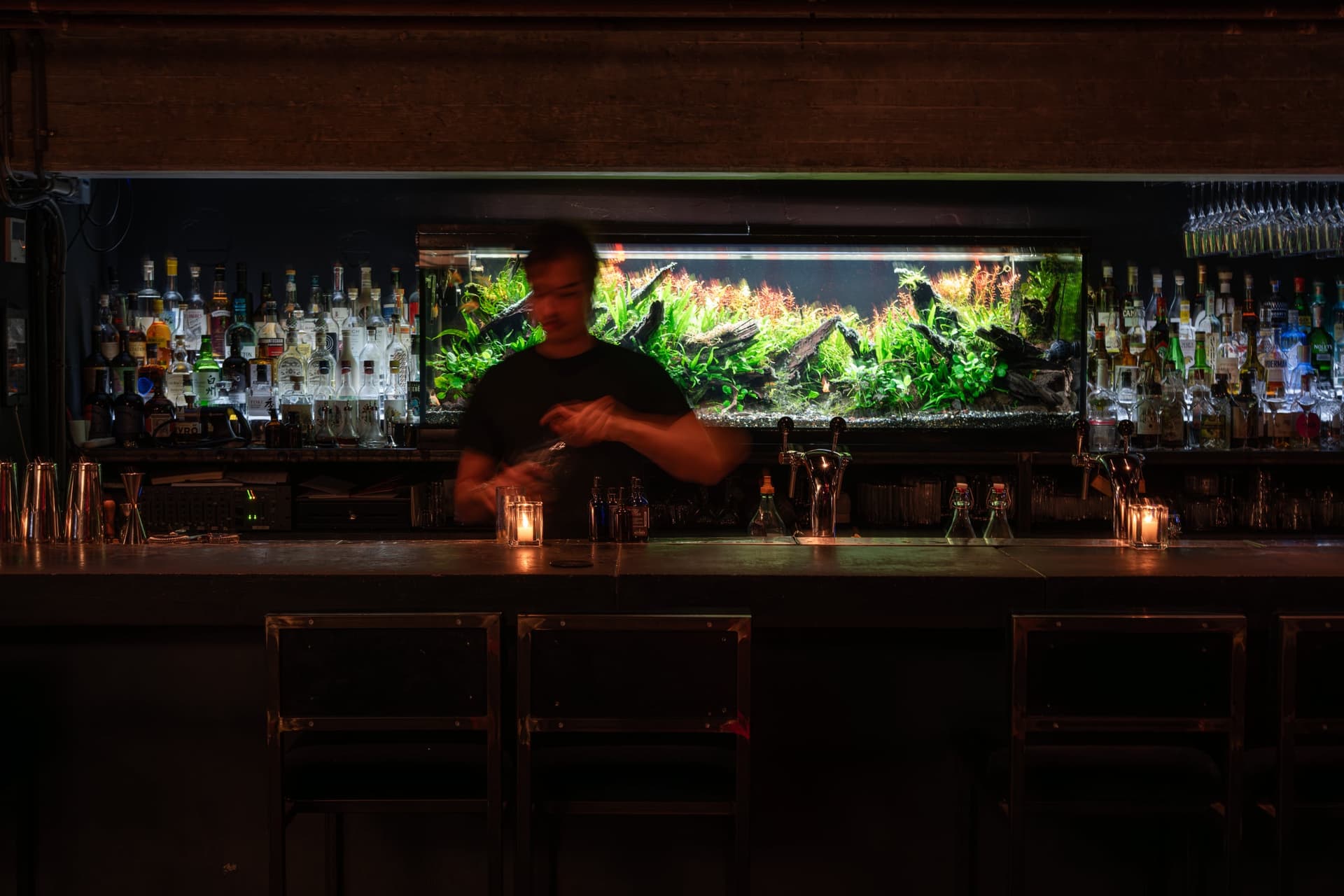 Ox — Restaurant fotografie, beeld 2