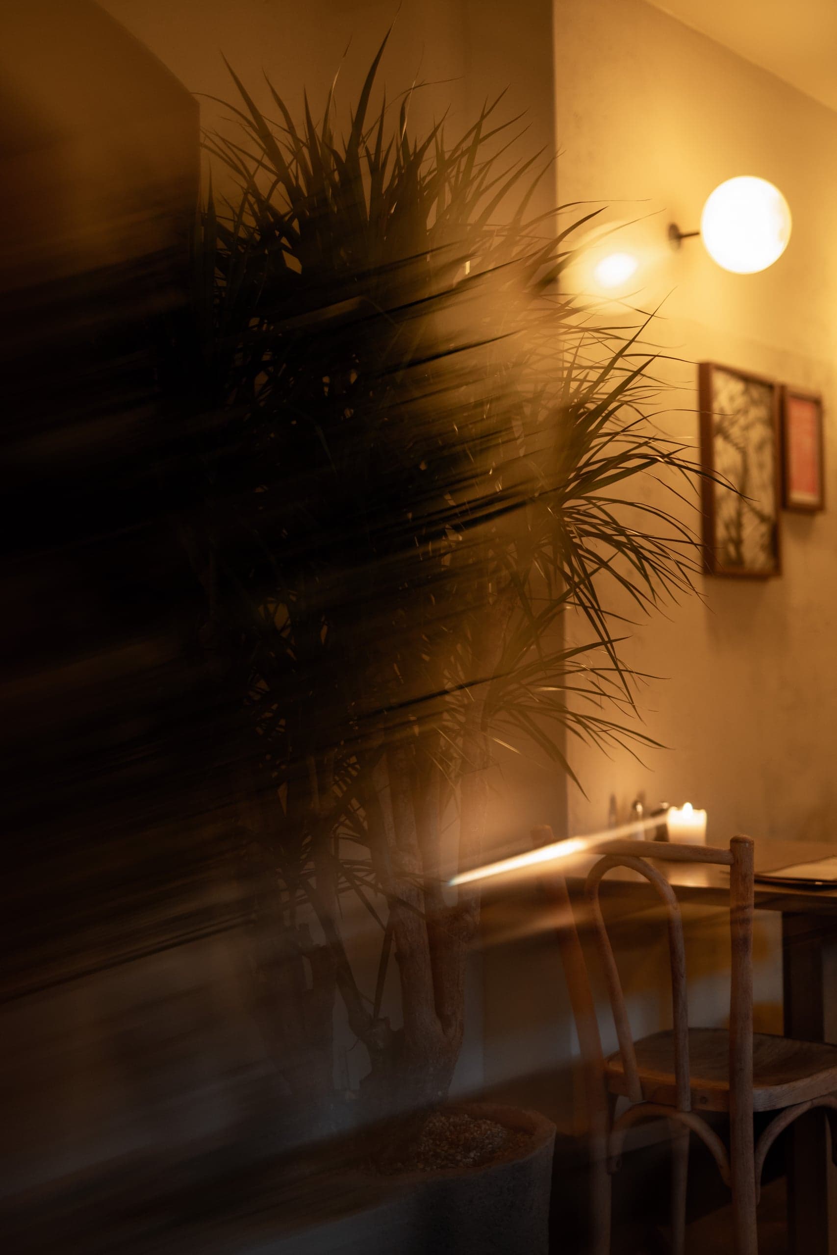 Jay & His Plants — Lifestyle fotografie, beeld 3