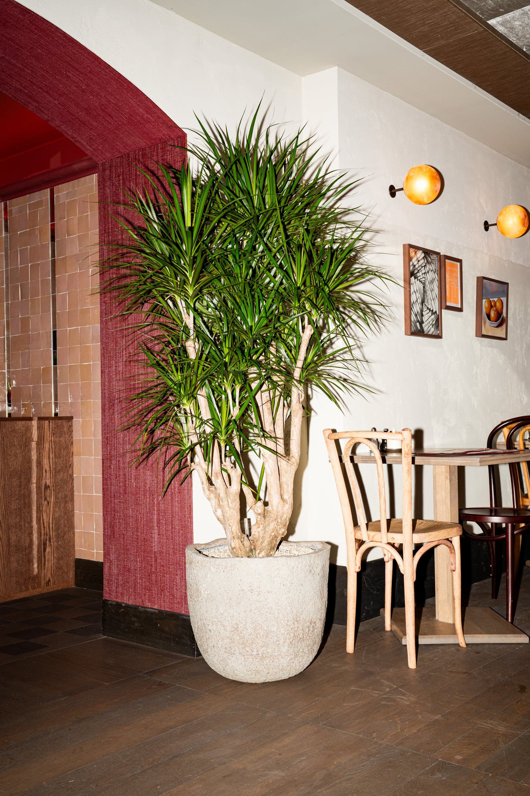 Jay & His Plants — Lifestyle fotografie, beeld 5