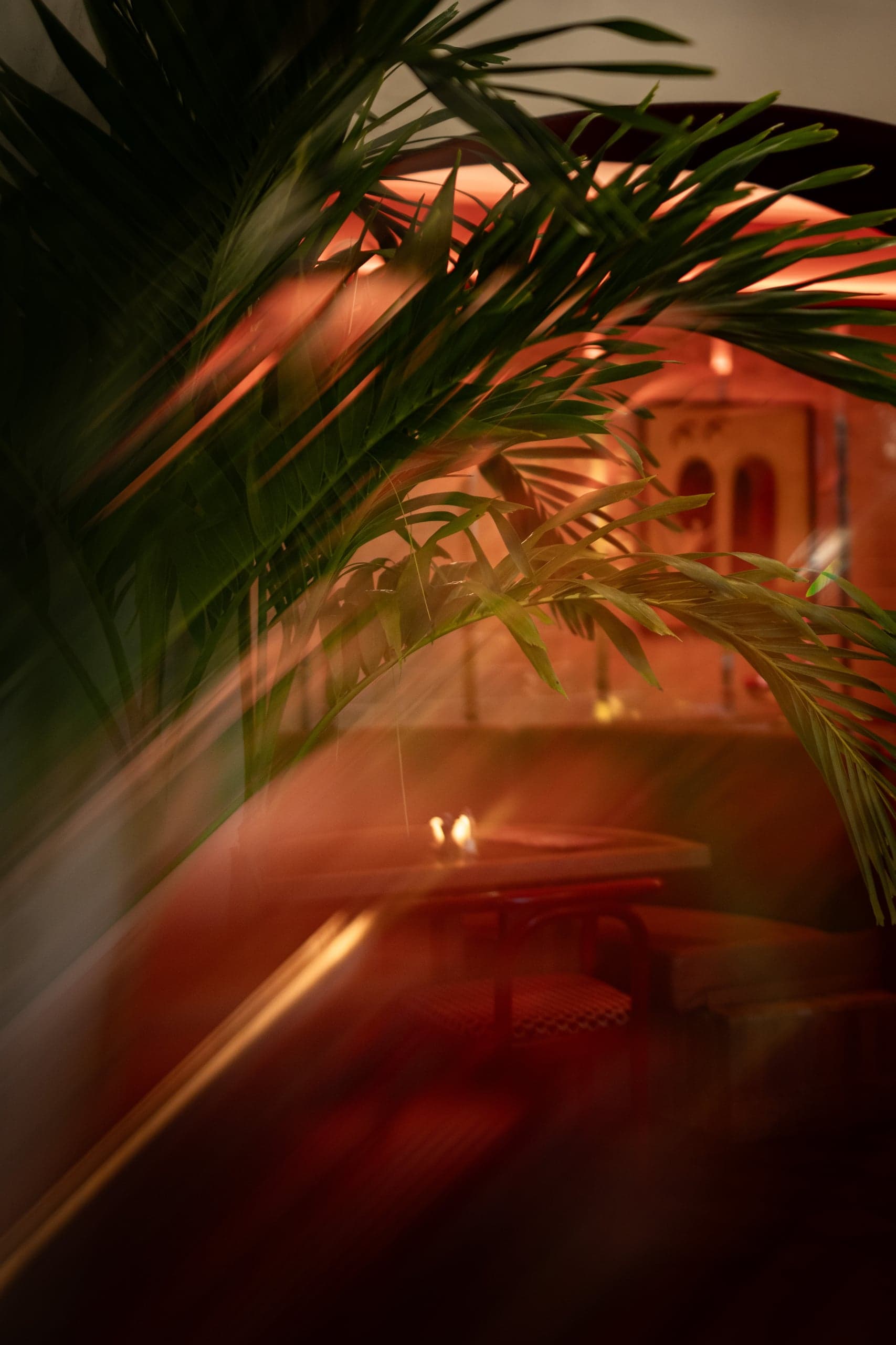 Jay & His Plants — Lifestyle fotografie, beeld 7