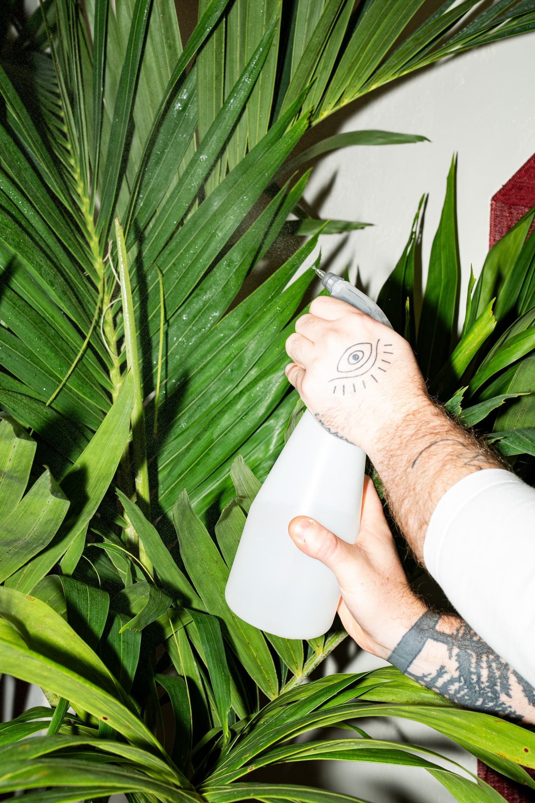 Jay & His Plants — Lifestyle fotografie, beeld 9
